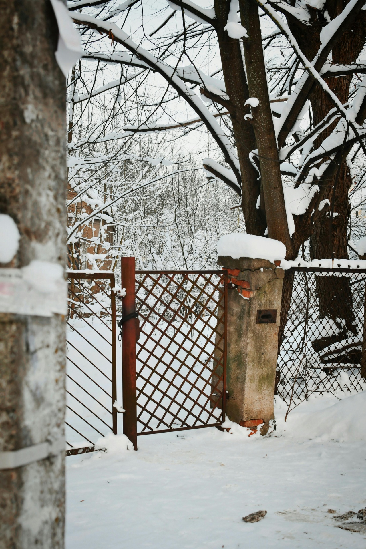 Schloss klemmt bei Kälte? Warum Allgäuer Winter Ihren Schließzylindern zusetzen – und was wirklich hilft